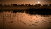 3D_Lac_01_B.jpg