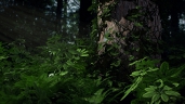 3D_Plantes_02_B.jpg
