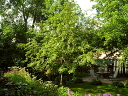 P7080014.JPG