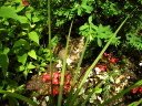 P7110021.JPG