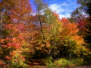 sj_couleurs_01.jpg