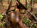 sj_ruisseau_02.jpg