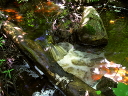 sj_ruisseau_03.jpg