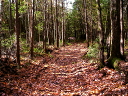 sj_sentier_01.jpg